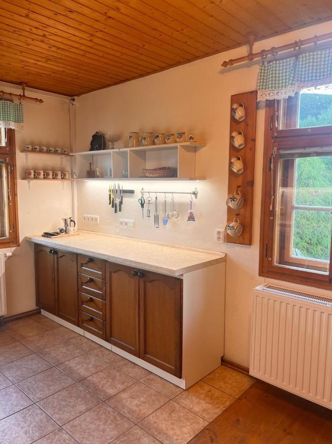 Roubenka Jeseniky Villa Bridlicna Екстериор снимка